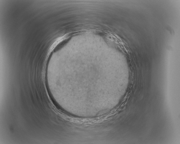 X0000115390003200912151510