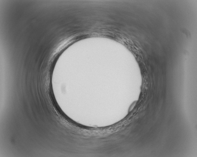 X0000115390005200912151510