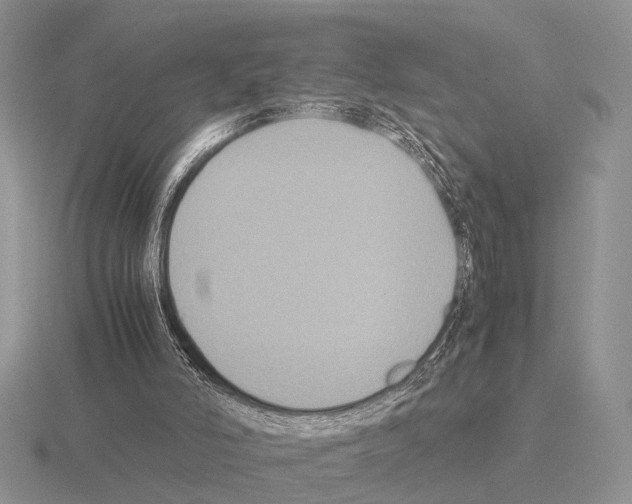 X0000115390006200912151510