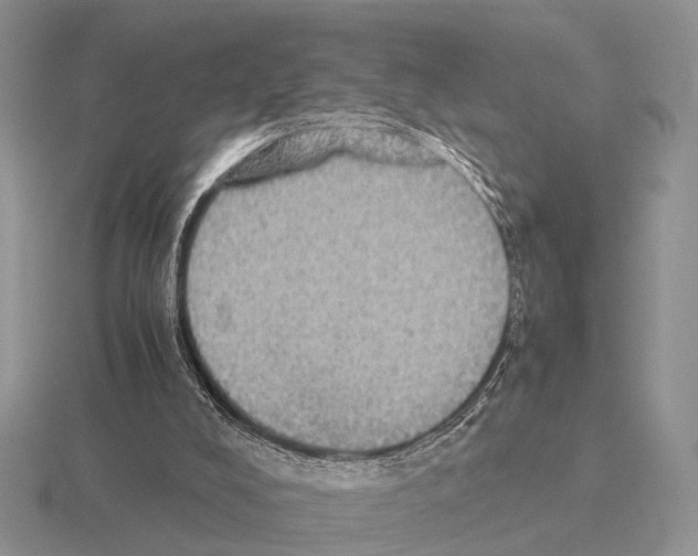 X0000115390008200912151509