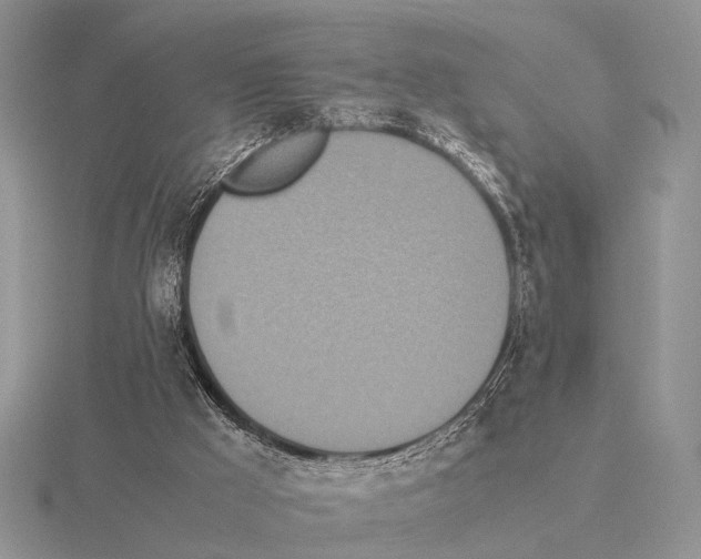 X0000115390009200912151509