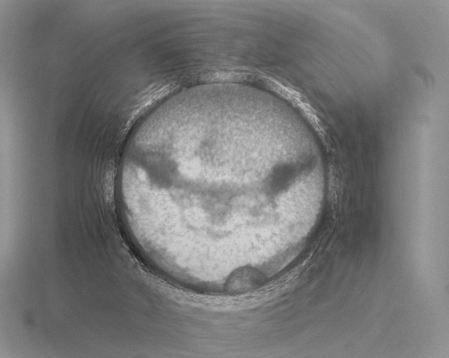 X0000115390010200912151509