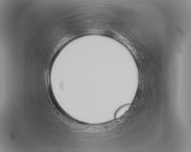 X0000115390011200912151509