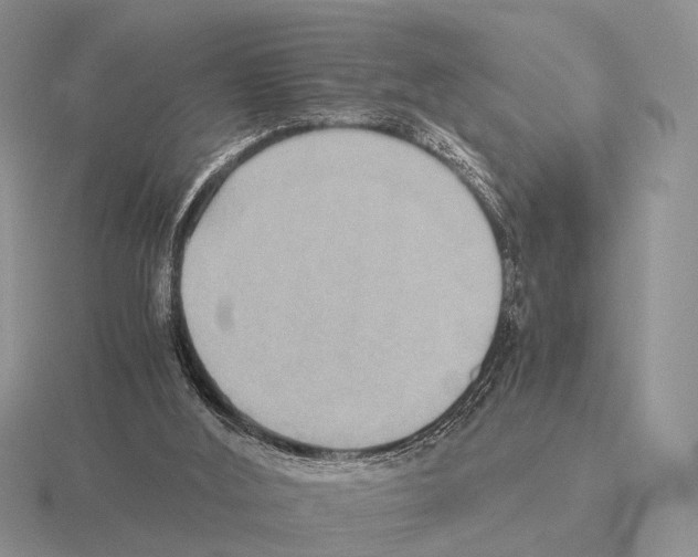 X0000115390012200912151509