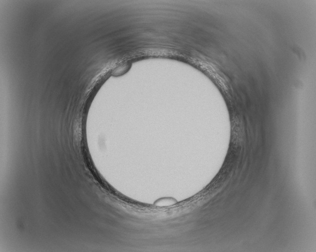 X0000115390015200912151509