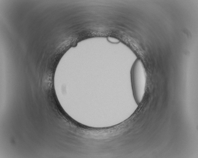 X0000115390017200912151509