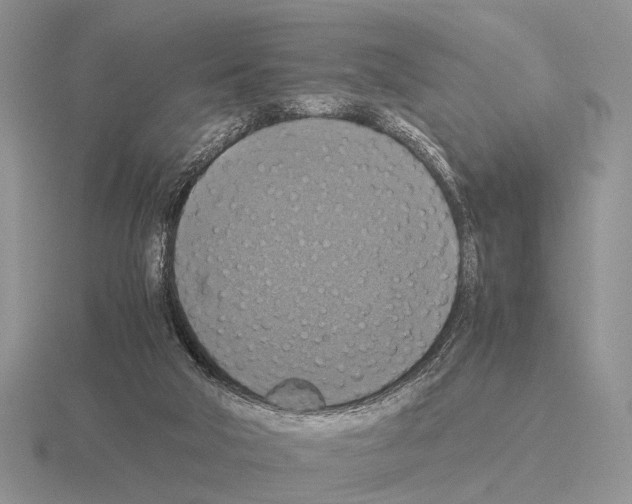 X0000115390018200912151509