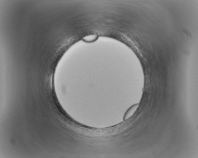 X0000115390019200912151509