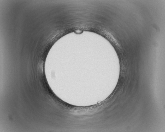 X0000115390021200912151509