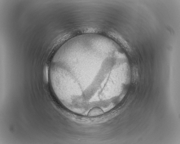 X0000115390022200912151509