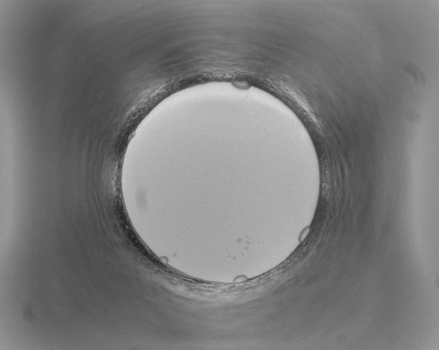 X0000115390023200912151509