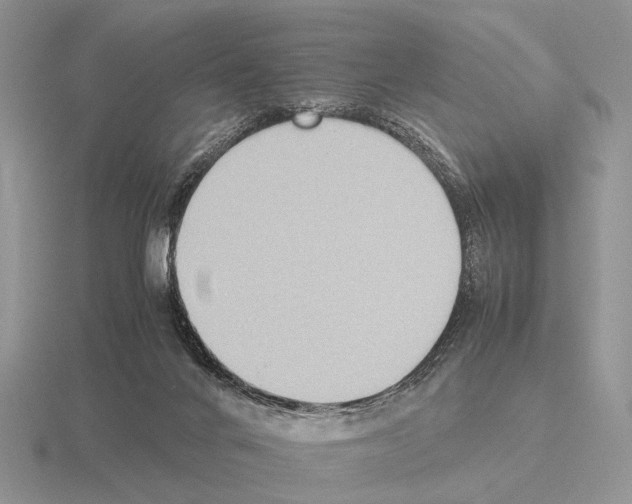 X0000115390024200912151509