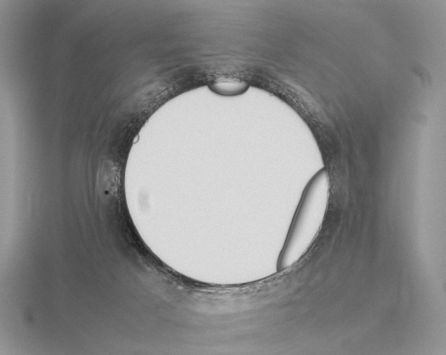 X0000115390025200912151509