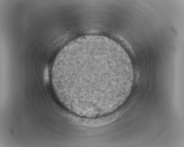 X0000115390026200912151509