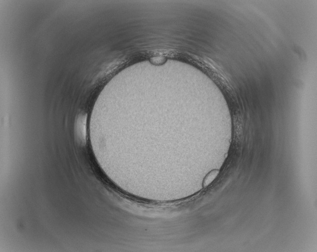 X0000115390028200912151509