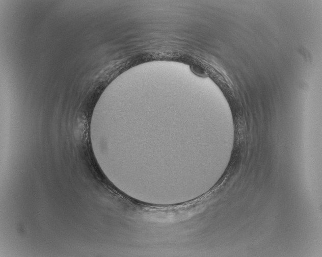 X0000115390029200912151509