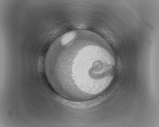 X0000115390030200912151509