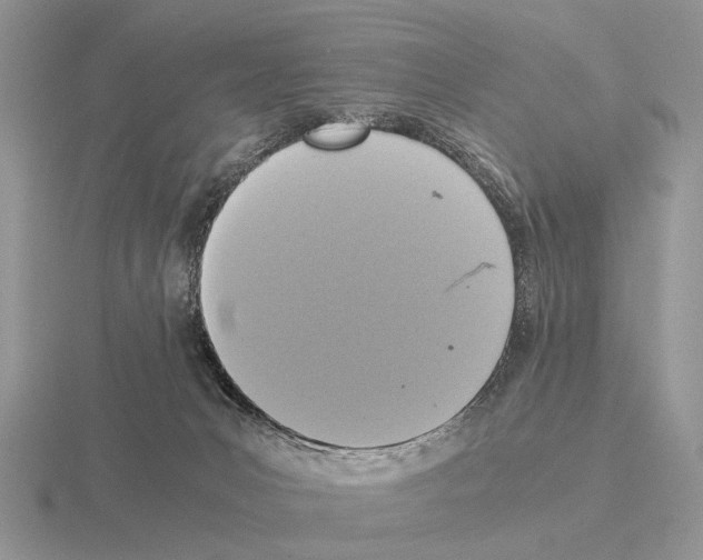 X0000115390031200912151509