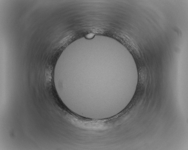 X0000115390032200912151509