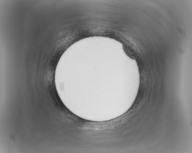 X0000115390033200912151509