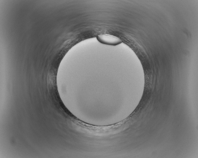 X0000115390035200912151509