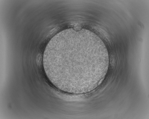 X0000115390036200912151509