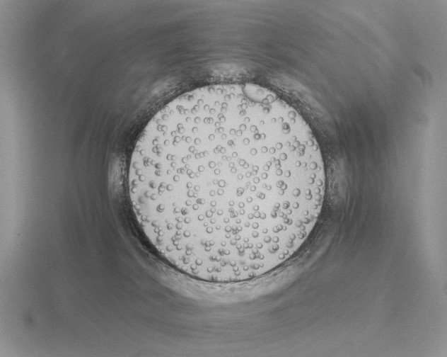 X0000115390038200912151509