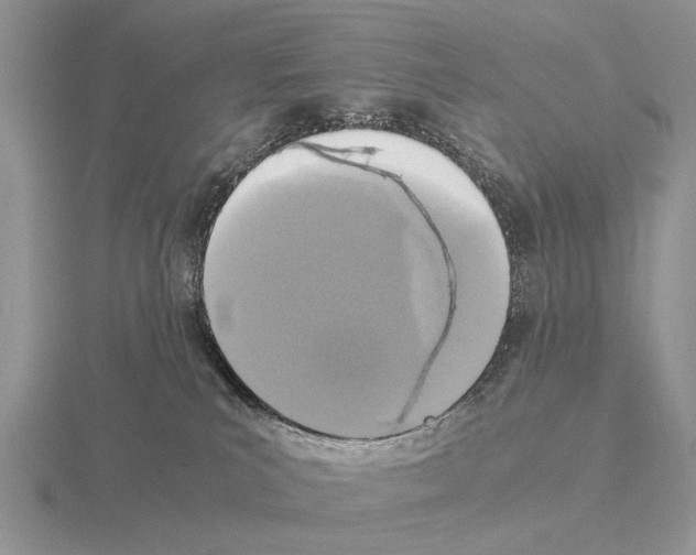 X0000115390039200912151509