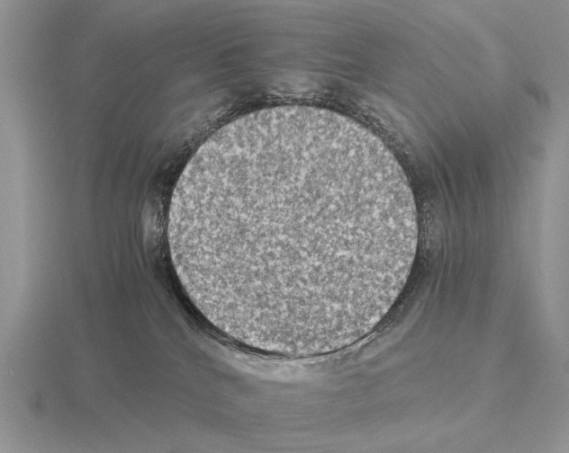 X0000115390040200912151509