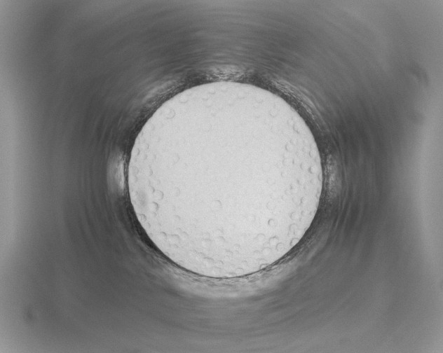 X0000115390042200912151509