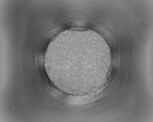 X0000115390045200912151509