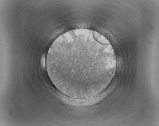 X0000115390046200912151509