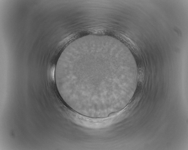 X0000115390047200912151509