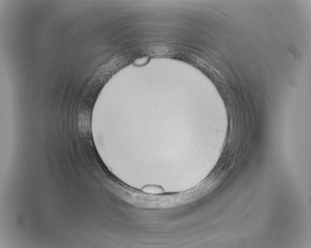 X0000115390048200912151509