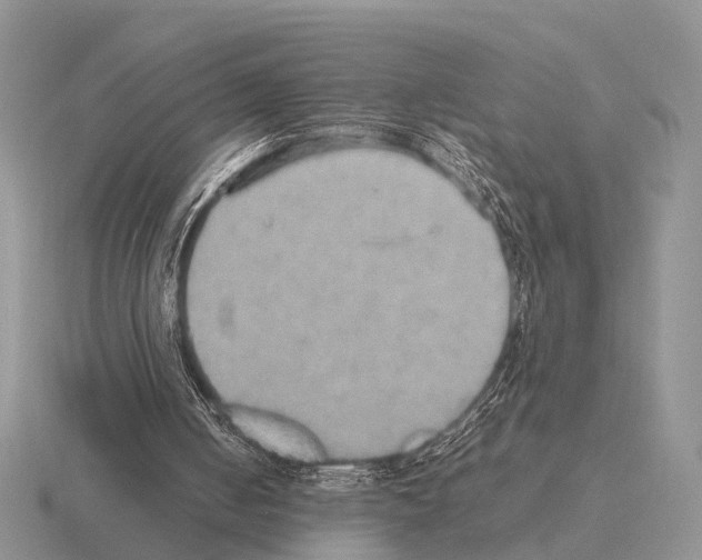 X0000115390050200912151508