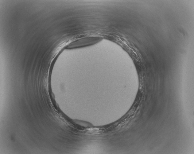 X0000115390052200912151508