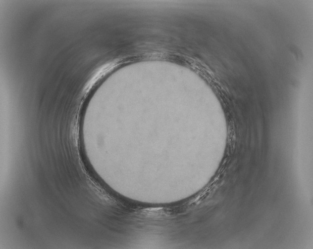 X0000115390054200912151508