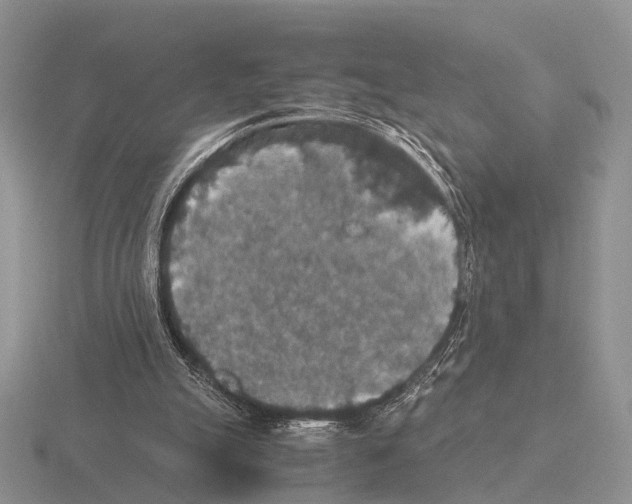 X0000115390055200912151508