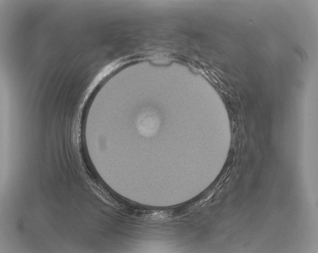 X0000115390056200912151508