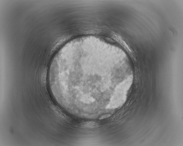 X0000115390058200912151508