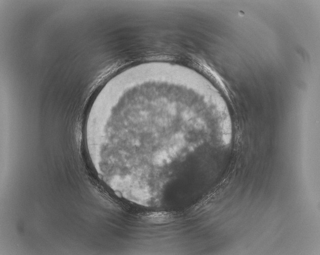 X0000115390059200912151508