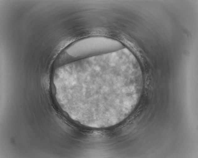 X0000115390060200912151508