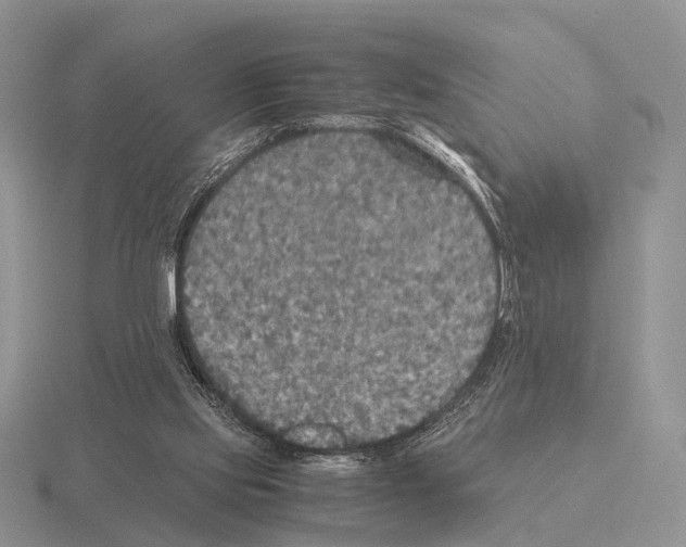 X0000115390061200912151508