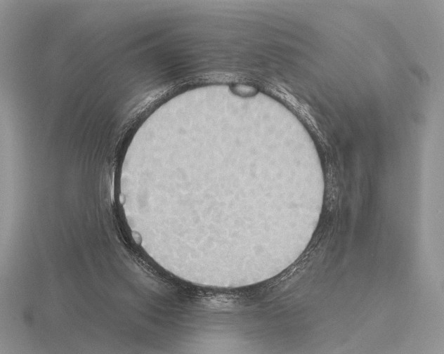 X0000115390062200912151508