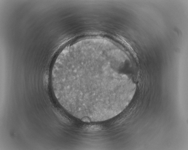 X0000115390063200912151508