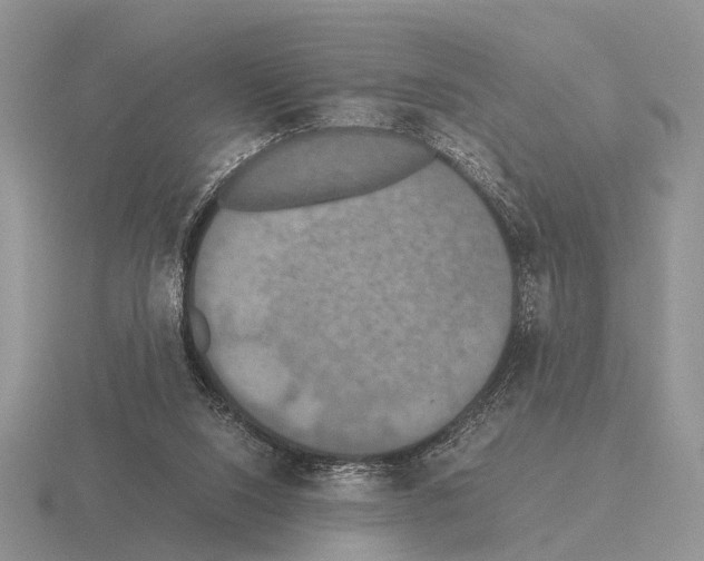 X0000115390064200912151508