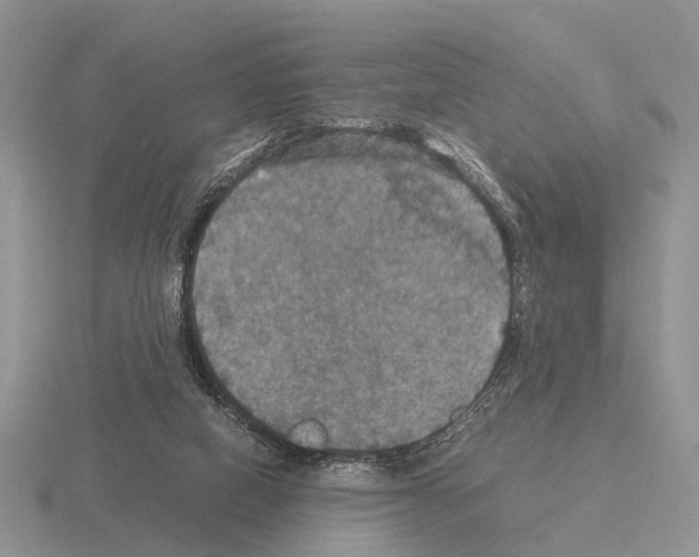 X0000115390066200912151508