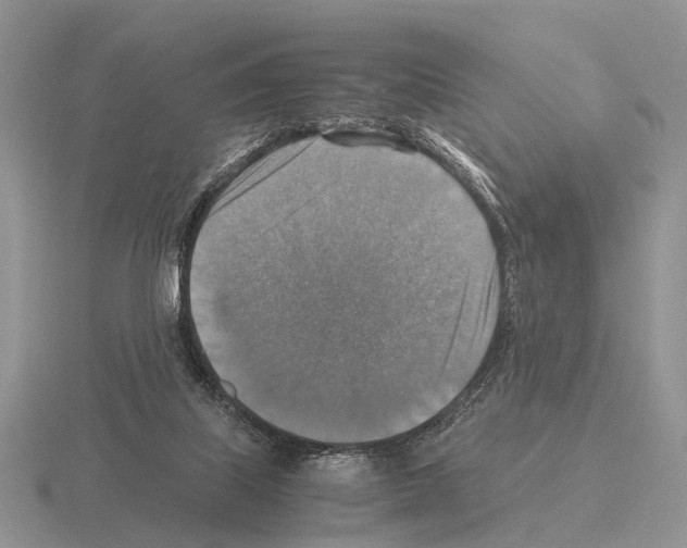 X0000115390067200912151508