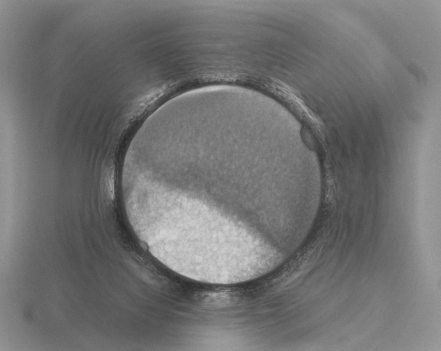 X0000115390068200912151508