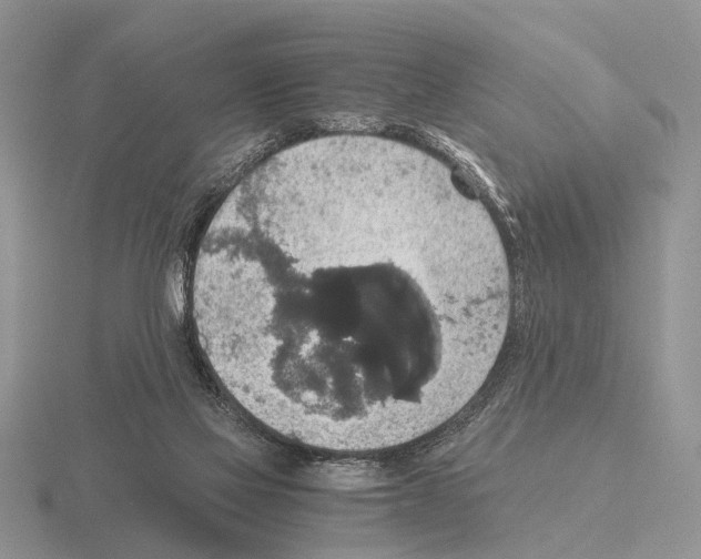 X0000115390069200912151508